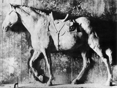 Clinker by Thomas Eakins